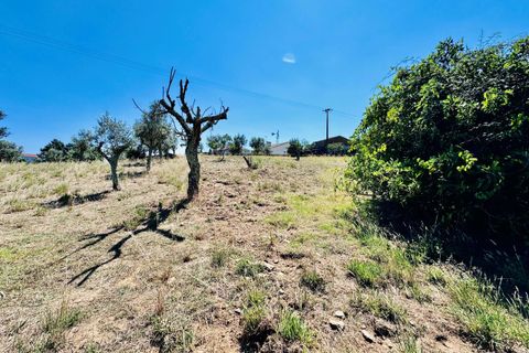 Helårsgrund i Tomar, Santarem, Tomar - € 80.000 | Ref: VCP346 - foto 14