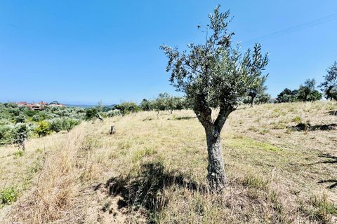 Helårsgrund i Tomar, Santarem, Tomar - € 80.000 | Ref: VCP346 - foto 15