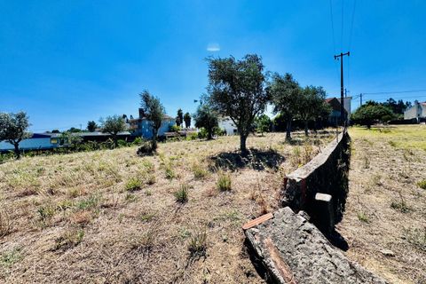 Helårsgrund i Tomar, Santarem, Tomar - € 80.000 | Ref: VCP346 - foto 17