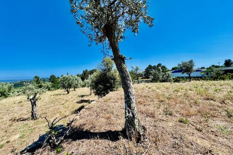 Helårsgrund i Tomar, Santarem, Tomar - € 80.000 | Ref: VCP346 - foto 18