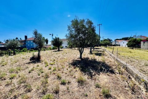 Helårsgrund i Tomar, Santarem, Tomar - € 80.000 | Ref: VCP346 - foto 19
