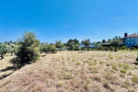 Helårsgrund i Tomar, Santarem, Tomar - € 80.000 | Ref: VCP346 - foto 20