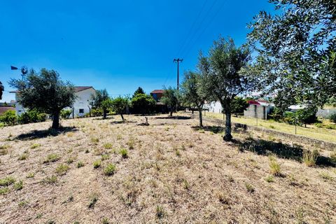 Helårsgrund i Tomar, Santarem, Tomar - € 80.000 | Ref: VCP346 - foto 21