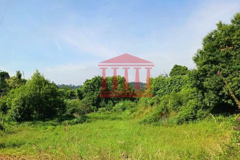 Helårsgrund i Barcelos, Braga, Barcelos - € 75.000 | Ref: 272T001000 - foto 3