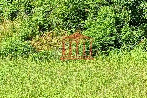 Helårsgrund i Barcelos, Braga, Barcelos - € 75.000 | Ref: 272T001000 - foto 4