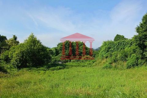 Helårsgrund i Barcelos, Braga, Barcelos - € 75.000 | Ref: 272T001000 - foto 1