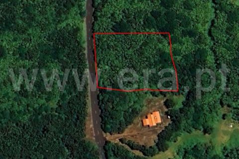 Helårsgrund i Horta, Faial, Horta - € 43.000 | Ref: 374240239 - foto 1