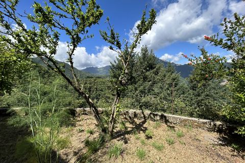 Landejendom i Gallicano, Lucca, Gallicano - € 160.000 | Ref: APS-1163 - foto 10