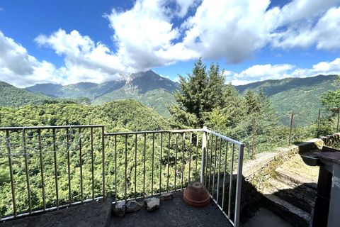Landejendom i Gallicano, Lucca, Gallicano - € 160.000 | Ref: APS-1163 - foto 21