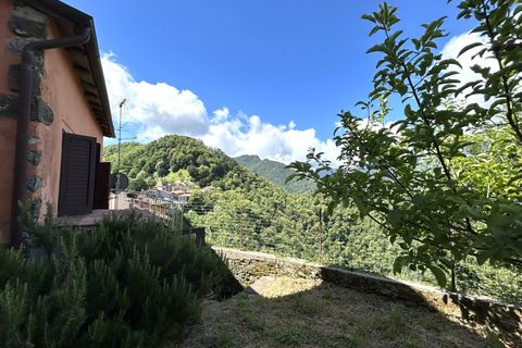 Landejendom i Gallicano, Lucca, Gallicano - € 160.000 | Ref: APS-1163 - foto 16