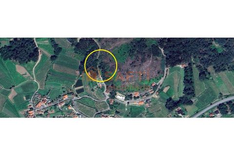 Villa i Prado e Remoaes, Viana do Castelo, Prado e Remoaes - € 25.000 | Ref: SAFTI:005444 - foto 1
