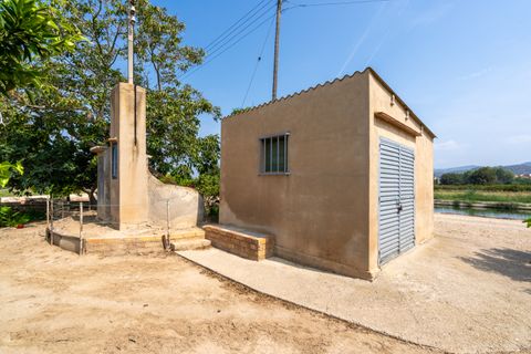 Finca i Bitem, Tarragona, Bitem - € 46 000 | Ref: 116 - foto 4
