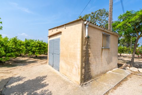 Finca i Bitem, Tarragona, Bitem - € 46 000 | Ref: 116 - foto 3