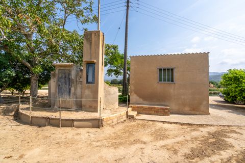 Finca i Bitem, Tarragona, Bitem - € 46 000 | Ref: 116 - foto 5