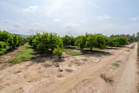 Finca i Bitem, Tarragona, Bitem - € 46 000 | Ref: 116 - foto 16