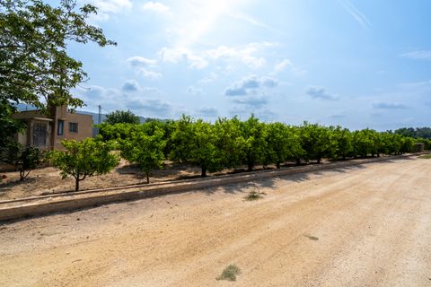 Finca i Bitem, Tarragona, Bitem - € 46 000 | Ref: 116 - foto 11