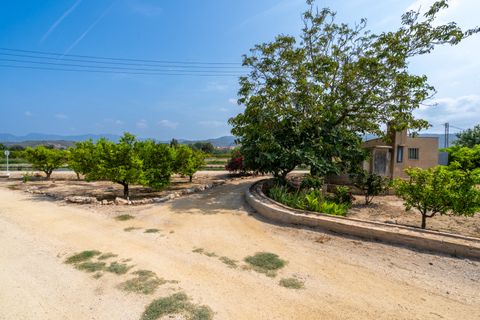 Finca i Bitem, Tarragona, Bitem - € 46 000 | Ref: 116 - foto 13