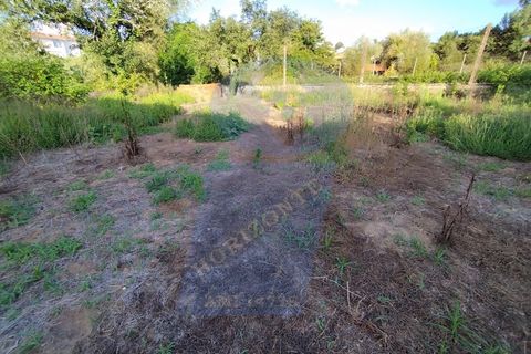 Helårsgrund i Anadia, Aveiro, Anadia - € 30.000 | Ref: TER_1092 - foto 2