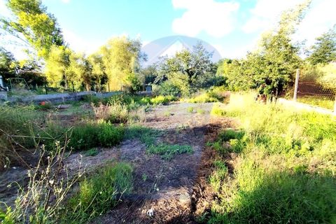 Helårsgrund i Anadia, Aveiro, Anadia - € 30.000 | Ref: TER_1092 - foto 3