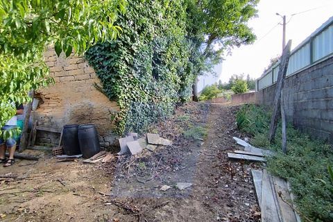 Helårsgrund i Anadia, Aveiro, Anadia - € 30.000 | Ref: TER_1092 - foto 4