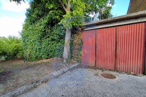 Helårsgrund i Anadia, Aveiro, Anadia - € 30.000 | Ref: TER_1092 - foto 5