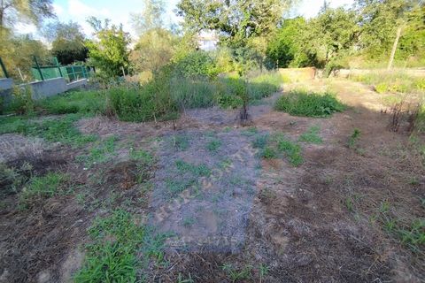Helårsgrund i Anadia, Aveiro, Anadia - € 30.000 | Ref: TER_1092 - foto 1