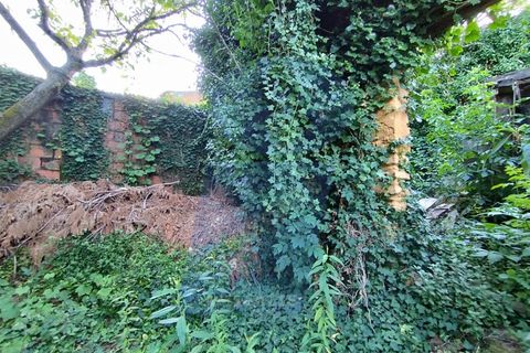 Helårsgrund i Anadia, Aveiro, Anadia - € 30.000 | Ref: TER_1092 - foto 7