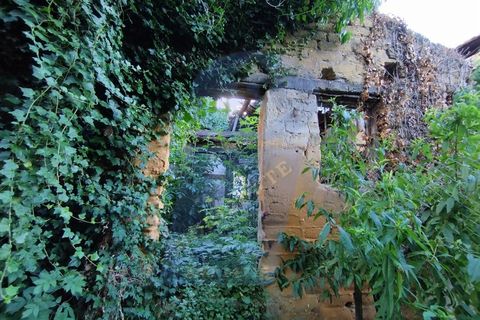 Helårsgrund i Anadia, Aveiro, Anadia - € 30.000 | Ref: TER_1092 - foto 8