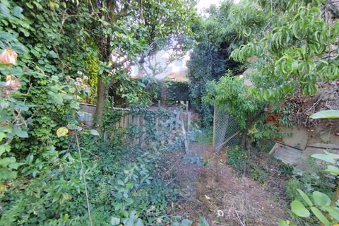 Helårsgrund i Anadia, Aveiro, Anadia - € 30.000 | Ref: TER_1092 - foto 9