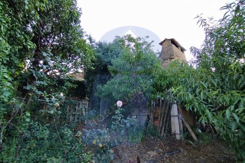Helårsgrund i Anadia, Aveiro, Anadia - € 30.000 | Ref: TER_1092 - foto 10