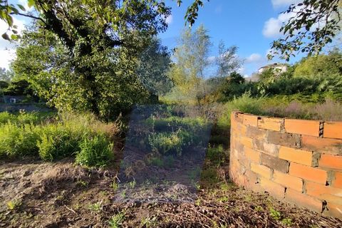 Helårsgrund i Anadia, Aveiro, Anadia - € 30.000 | Ref: TER_1092 - foto 11