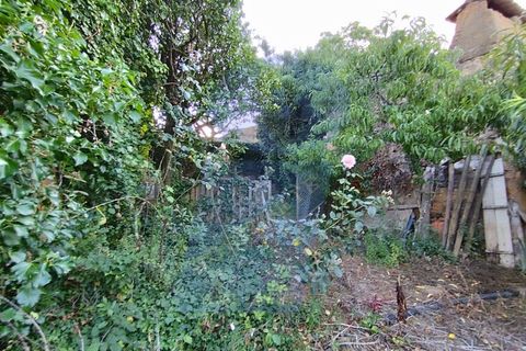 Helårsgrund i Anadia, Aveiro, Anadia - € 30.000 | Ref: TER_1092 - foto 12