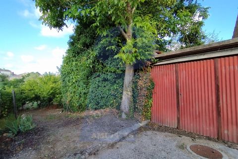Helårsgrund i Anadia, Aveiro, Anadia - € 30.000 | Ref: TER_1092 - foto 15