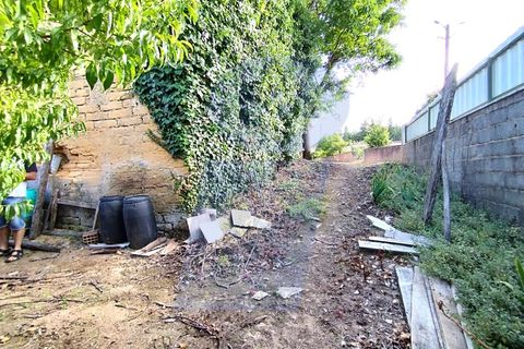 Helårsgrund i Anadia, Aveiro, Anadia - € 30.000 | Ref: TER_1092 - foto 16