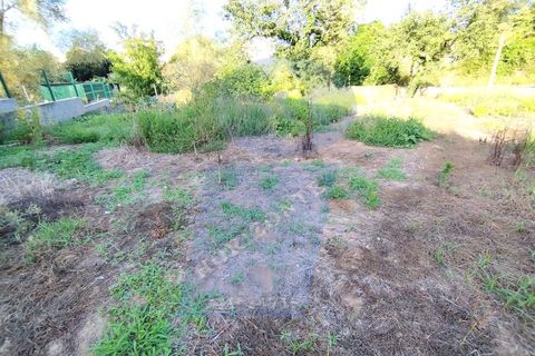 Helårsgrund i Anadia, Aveiro, Anadia - € 30.000 | Ref: TER_1092 - foto 17