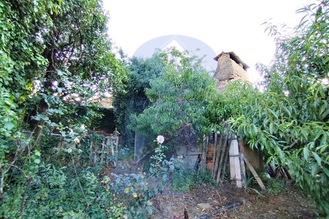 Helårsgrund i Anadia, Aveiro, Anadia - € 30.000 | Ref: TER_1092 - foto 18