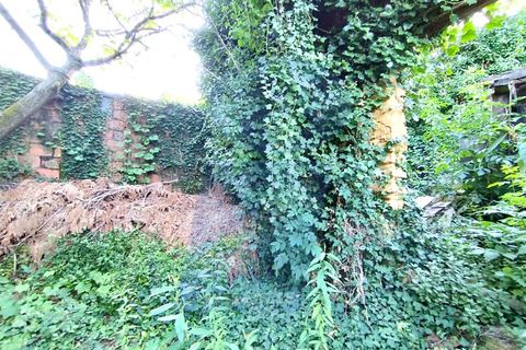 Helårsgrund i Anadia, Aveiro, Anadia - € 30.000 | Ref: TER_1092 - foto 19