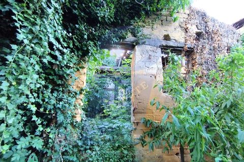 Helårsgrund i Anadia, Aveiro, Anadia - € 30.000 | Ref: TER_1092 - foto 20
