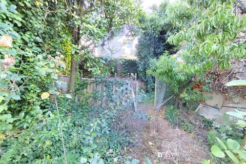 Helårsgrund i Anadia, Aveiro, Anadia - € 30.000 | Ref: TER_1092 - foto 21