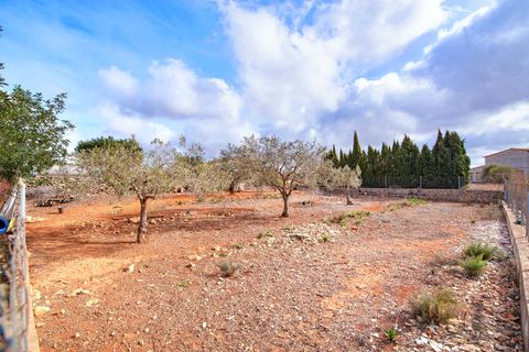 Finca i Benissa, Alicante, Benissa - € 525.000 | Ref: ES-MOR-018705 - foto 25