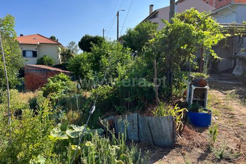 Helårsgrund i Seia, Guarda, Seia - € 29.000 | Ref: 382240101 - foto 3