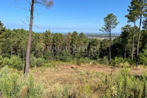 Helårsgrund i Seia, Guarda, Seia - € 29.000 | Ref: 382240101 - foto 5