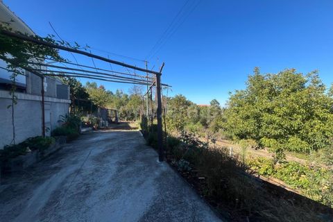 Helårsgrund i Seia, Guarda, Seia - € 29.000 | Ref: 382240101 - foto 7