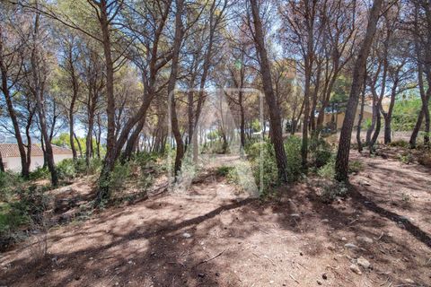 Helårsgrund i Moraira, Alicante, Moraira - € 394.000 | Ref: PMR0043 - foto 5
