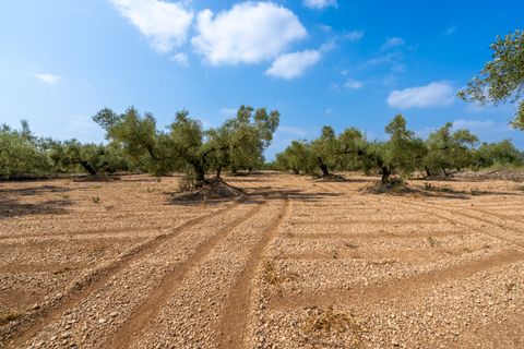Finca i Ulldecona, Tarragona, Ulldecona - € 7.000 | Ref: 117 - foto 4