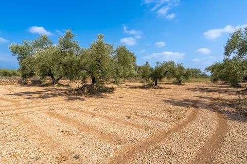 Finca i Ulldecona, Tarragona, Ulldecona - € 7.000 | Ref: 117 - foto 3