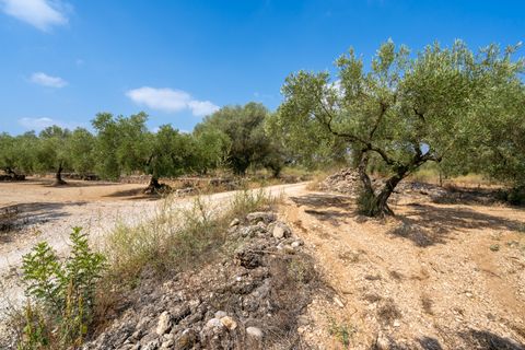 Finca i Ulldecona, Tarragona, Ulldecona - € 7.000 | Ref: 117 - foto 5