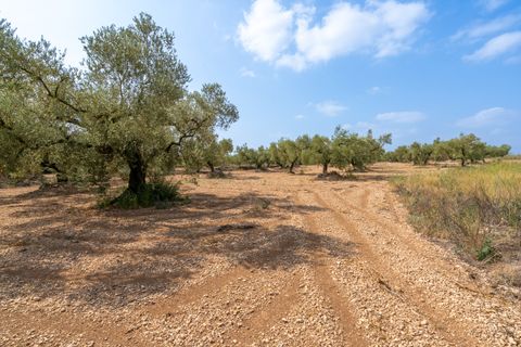 Finca i Ulldecona, Tarragona, Ulldecona - € 7.000 | Ref: 117 - foto 2