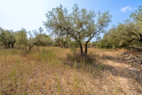 Finca i Ulldecona, Tarragona, Ulldecona - € 8.000 | Ref: 119 - foto 2