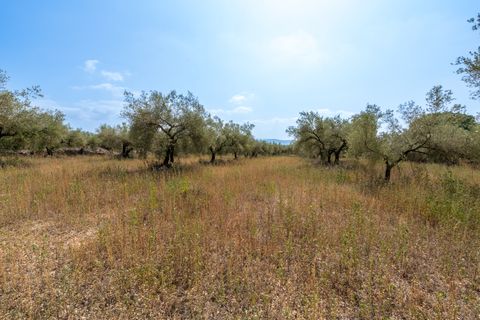Finca i Ulldecona, Tarragona, Ulldecona - € 8.000 | Ref: 119 - foto 6